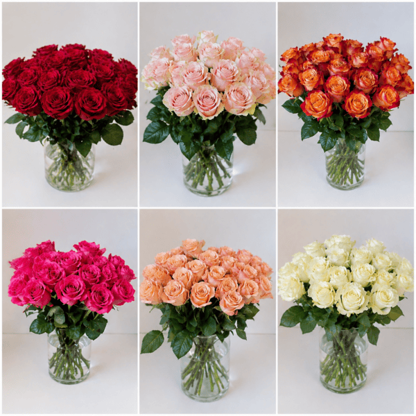 Rosenstrauß bestellen in Mönchengladbach – Floria Blumen Mönchengladbach